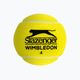 Piłki tenisowe Slazenger Wimbledon 4 szt. 3