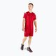Koszulka treningowa męska Mizuno Premium Handball czerwona X2FA9A0262 2