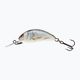Wobler Salmo Hornet SNK real dace