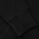 Bluza męska Pitbull West Coast Hooded Small Logo 21 black 5