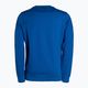 Bluza męska Pitbull West Coast Tanbark Crewneck Sweatshirt royal blue 10