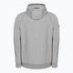 Bluza męska Pitbull Skylark Hooded Sweatshirt grey/melange 2