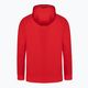 Bluza męska Pitbull West Coast Skylark Hooded Sweatshirt red 10