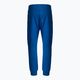 Spodnie męskie Pitbull West Coast Pants Alcorn royal blue 2