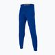 Spodnie męskie Pitbull West Coast Durango Jogging 210 royal blue