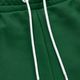Spodnie męskie Pitbull West Coast Trackpants Tape Logo Terry Group green 4