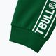 Spodnie męskie Pitbull West Coast Trackpants Tape Logo Terry Group green 7