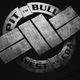 Bluza męska Pitbull West Coast Steel Logo Hooded black 4