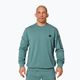 Bluza męska Pitbull Explorer Crewneck mint