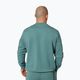 Bluza męska Pitbull Explorer Crewneck mint 3