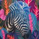 Kurtka przeciwdeszczowa damska Waikane Vibe Blue Zebra Parka 5