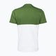Koszulka męska PROSTO Averci green 2