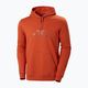 Bluza męska Helly Hansen Nord Graphic Pull Over Hoodie canyon 5