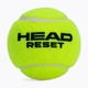 Piłki tenisowe HEAD 72B Reset Polybag 72 szt. 2