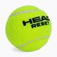 Piłki tenisowe HEAD 72B Reset Polybag 72 szt. 3