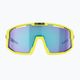 Okulary przeciwsłoneczne Bliz Vision matt yellow/smoke blue multi 9
