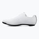 Buty szosowe męskie Fizik Tempo Decos Carbon white/white 9