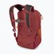 Plecak turystyczny dziecięcy Osprey Daylite Jr Pack 10 l orange dawn/bazan 3