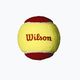 Piłki tenisowe dziecięce Wilson Starter Red Tball 12 szt. yellow/red 2