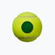 Piłki tenisowe dziecięce Wilson Starter Play Green 4 szt. yellow/green 4