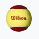 Piłki tenisowe dziecięce Wilson Starter Red Tball 36 szt. yellow/red 2