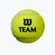 Piłki tenisowe Wilson Team Practice 4 szt. 2