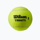 Piłki tenisowe Wilson Triniti Tball 4 szt. 2