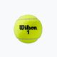Piłki tenisowe Wilson Roland Garros Clay Ct 3 szt. yellow 3
