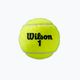 Piłki tenisowe Wilson Roland Garros All Ct 3 szt. yellow 2