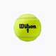 Piłki tenisowe Wilson Roland Garros Clay Ct 4 szt. yellow 3