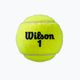 Piłki tenisowe Wilson Roland Garros All Ct 8 szt. 4