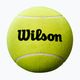 Piłka tenisowa na autografy Wilson Roland Garros 5 Mini Jumbo yellow
