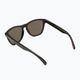 Okulary przeciwsłoneczne Oakley Frogskins matte black/prizm black polarized 2