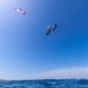 Latawiec kitesurfingowy DUOTONE Dice SLS coral red/heron blue 2