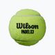 Piłki do padla Wilson Padel X3 Speed Ball 3 szt. yellow 2