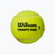 Piłki tenisowe Wilson Triniti Pro Tball 4 szt. 2