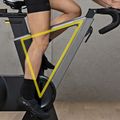 Rower spinningowy Technogym Ride 6