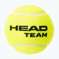 Piłki tenisowe HEAD Team 4B 4 szt. yellow 2