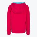 Bluza tenisowa dziecięca Wilson Script Cotton Po Hoody Jr love potion/scuba blue 2