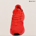 Buty męskie PUMA Softride Enzo Evo high risk red/puma black 19