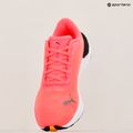 Buty do biegania damskie PUMA Electrify Nitro 3 Fade sun stream/sunset glow/puma white 18