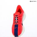 Buty do biegania damskie Nike Pegasus Plus bright crimson/deep royal blue/silt red 12