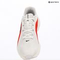 Buty do biegania męskie Nike Downshifter 14 white/summit white/bright crimson/black 10