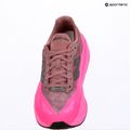 Buty do biegania męskie New Balance FuelCell Rebel V5 pink heat/rosewood 12