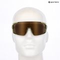 Okulary przeciwsłoneczne Alpina Lumin green transparent gloss/gold mirror 7