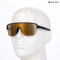 Okulary przeciwsłoneczne Alpina Ram 2.0 Q-Lite black matt/gold mirror 7