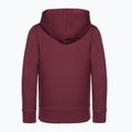 Bluza dziecięca GAP V-Fall Fash Logo FZ deep garnet red 2