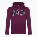 Bluza męska GAP V-Heritage Logo PO SNL beach plum 2