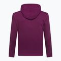Bluza męska GAP V-Heritage Logo PO SNL beach plum 3