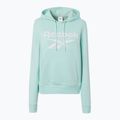 Bluza damska Reebok Identity Big Logo Fleece glitch aqua 5